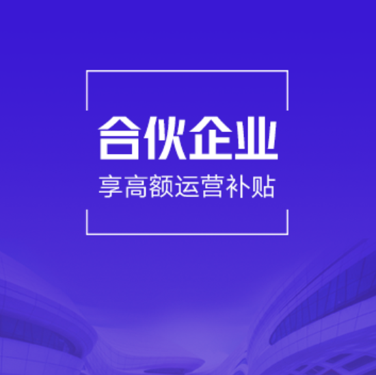 上海嘉定企税一般纳税人代理记账（合伙企业3年版）