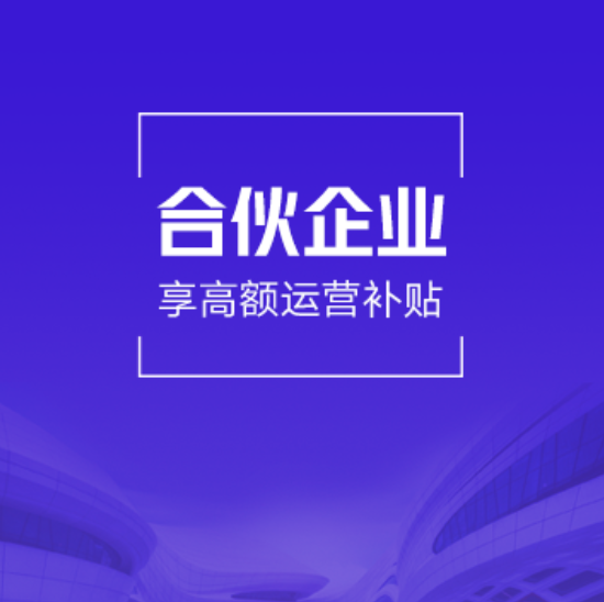 德宏傣族景颇族自治州陇川企税一般纳税人代理记账（合伙企业5年版）